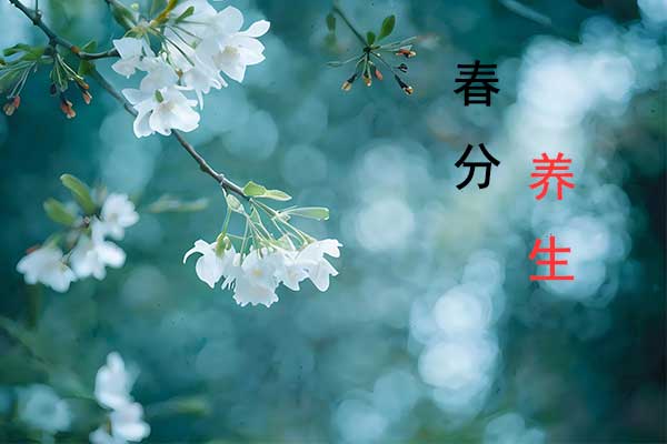 ��ҳ| G22��弯���й��ٷ���վ