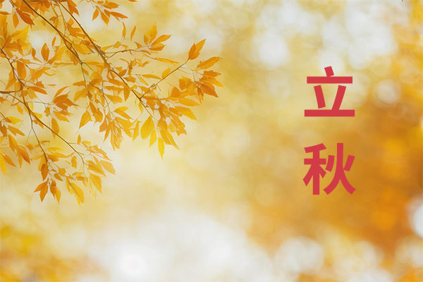 ��ҳ| G22��弯���й��ٷ���վ