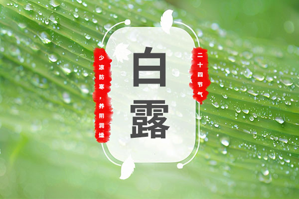 ��ҳ| G22��弯���й��ٷ���վ