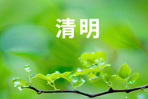 ��ҳ| G22��弯���й��ٷ���վ
